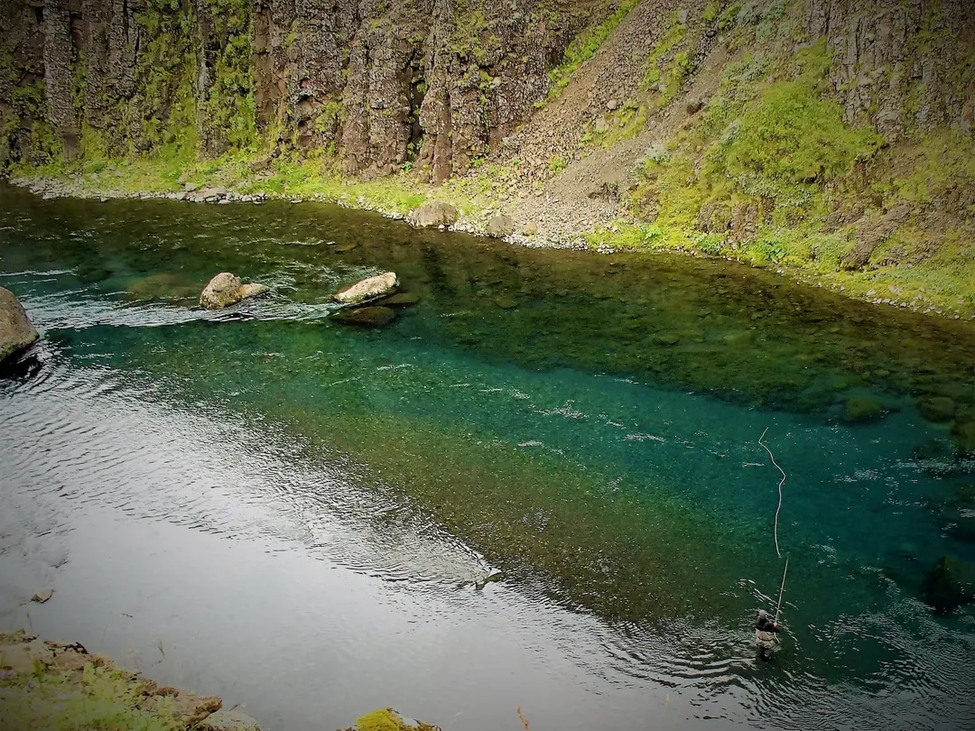 Two anglers on the lower beat, one netting a fish
